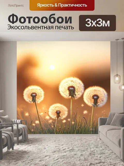 Фотообои нежные одуванчики на фоне вечернего заката