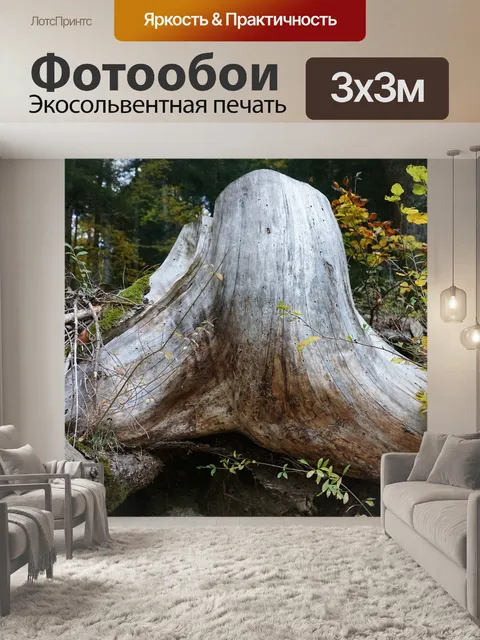 Фотообои Корень
