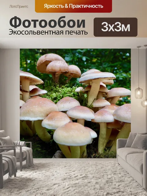 Фотообои Лес