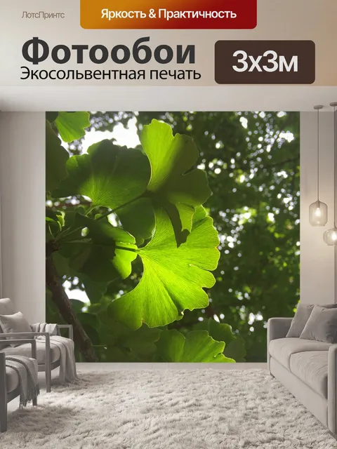 Фотообои Листья