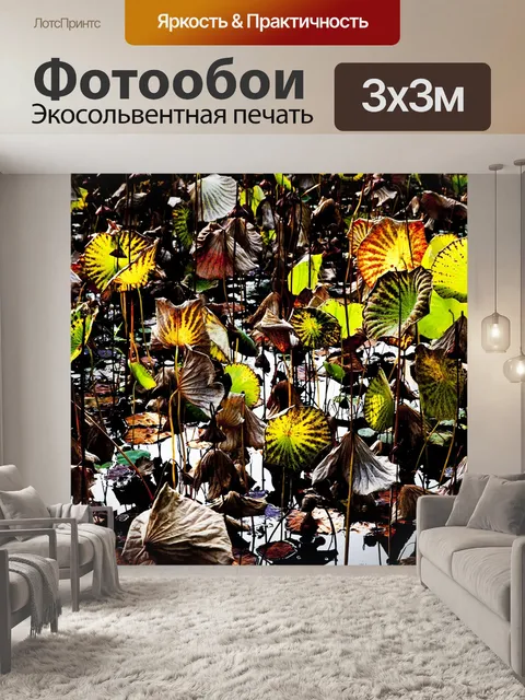 Фотообои Lotus