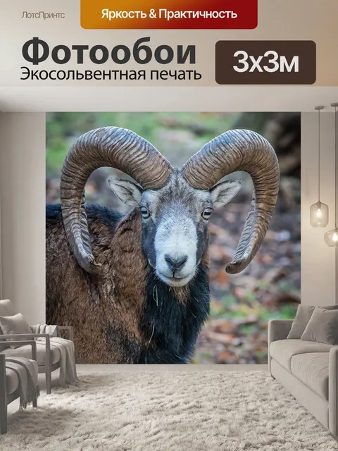 Фотообои Природа