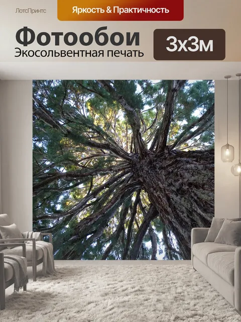 Фотообои Дерево