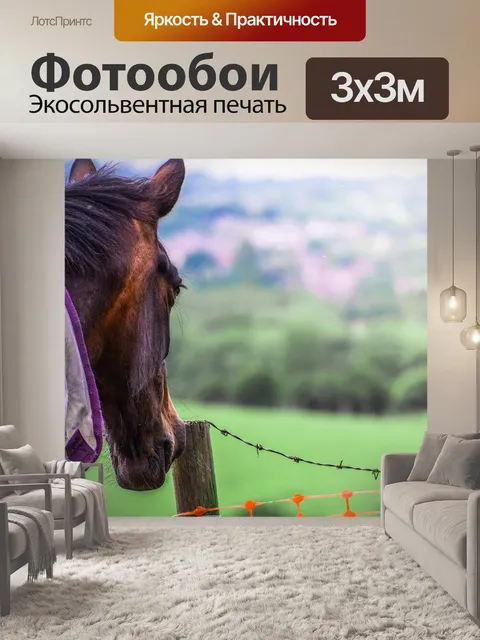 Фотообои Животное