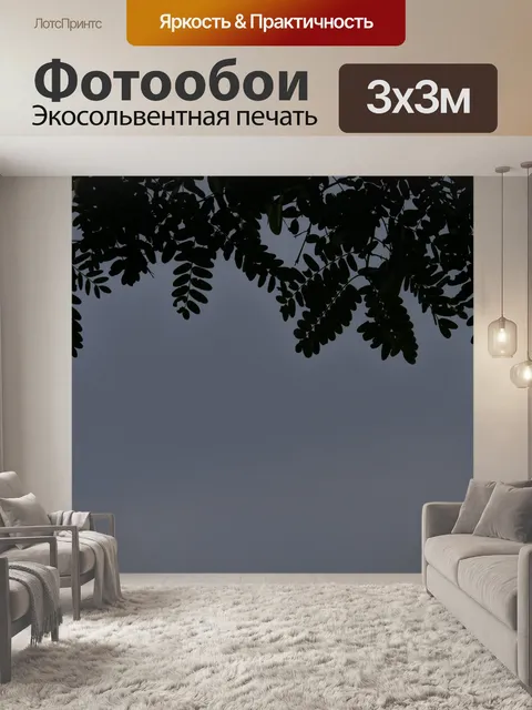 Фотообои Tipuana листья деревьев на фоне неба