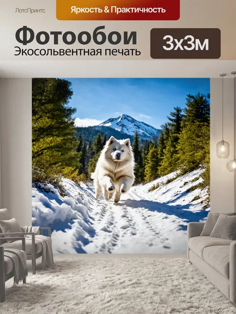Фотообои самоед, изящно пронесшийся по живописной тропе в лесу, выбрасывает снег вверх своими лапами