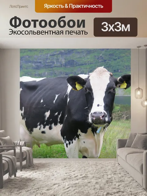 Фотообои Корова