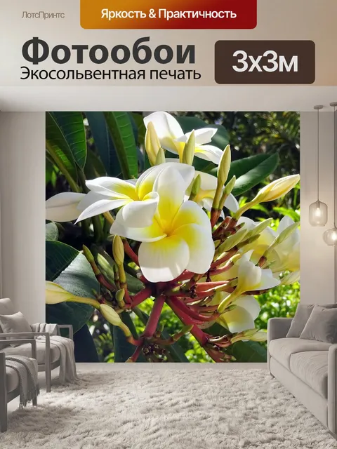 Фотообои Франжипани