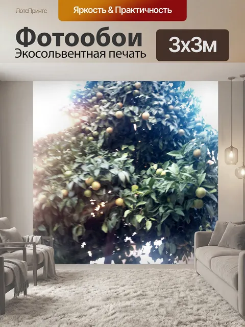 Фотообои Апельсиновое дерево