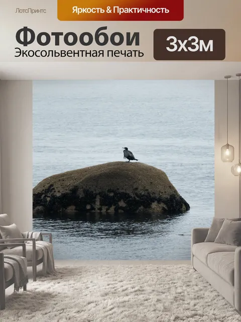 Фотообои Баклан в море