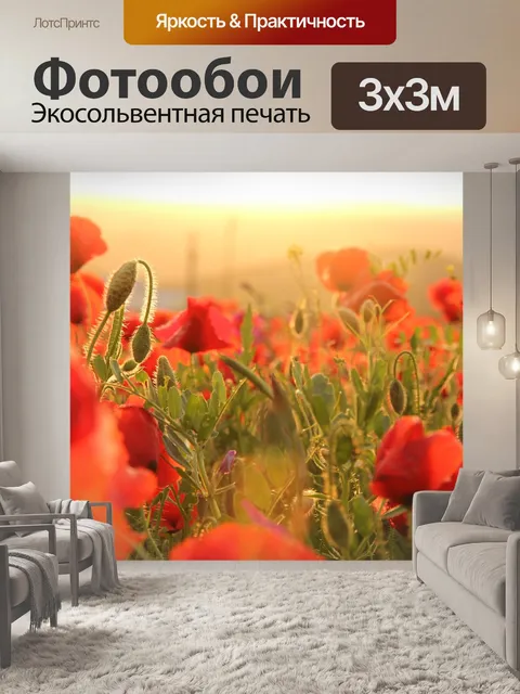 Фотообои Маки