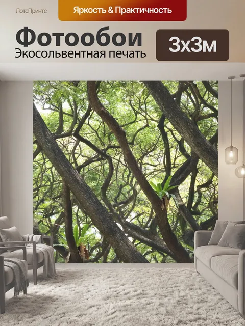 Фотообои корявыми деревья