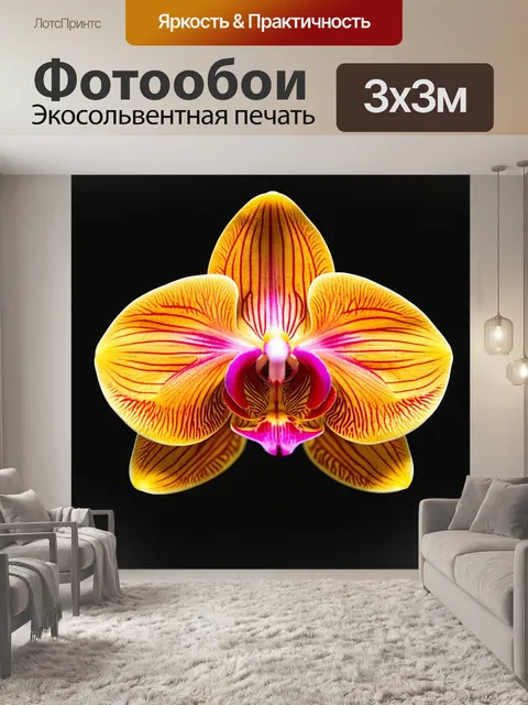 Фотообои орхидея с оранжевыми оттенками, современная абстракция