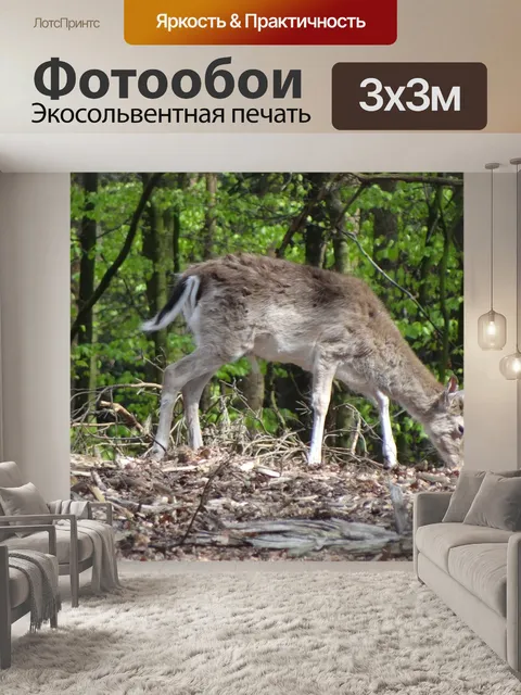 Фотообои Олень