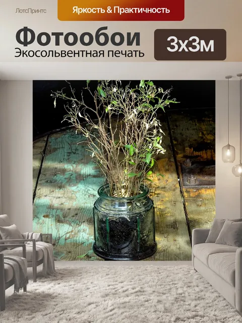 Фотообои Растение в горшке на столе