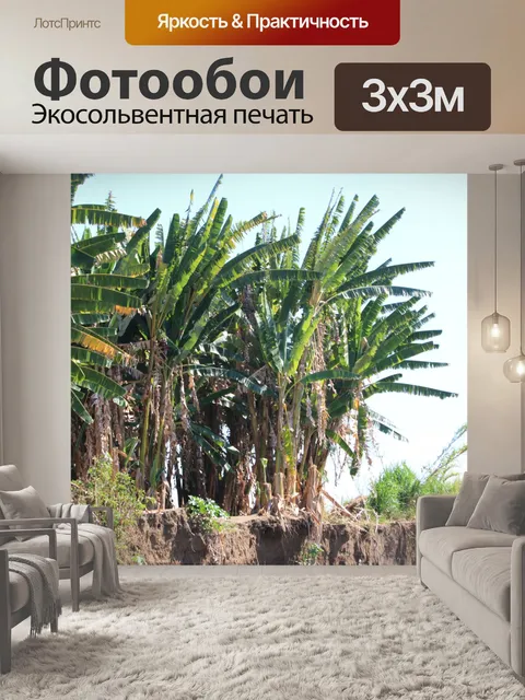 Фотообои Тропические деревья
