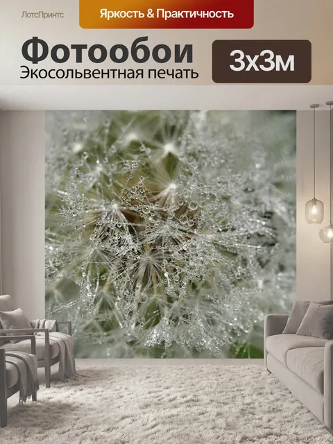 Фотообои Одуванчик