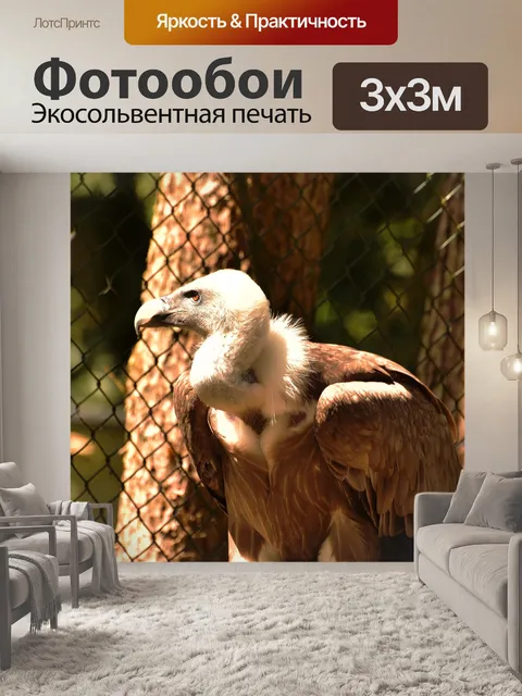 Фотообои Гриф