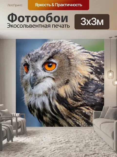 Фотообои Филин