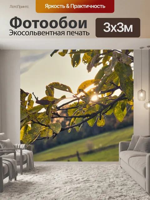 Фотообои Листья