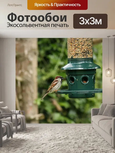 Фотообои Птица