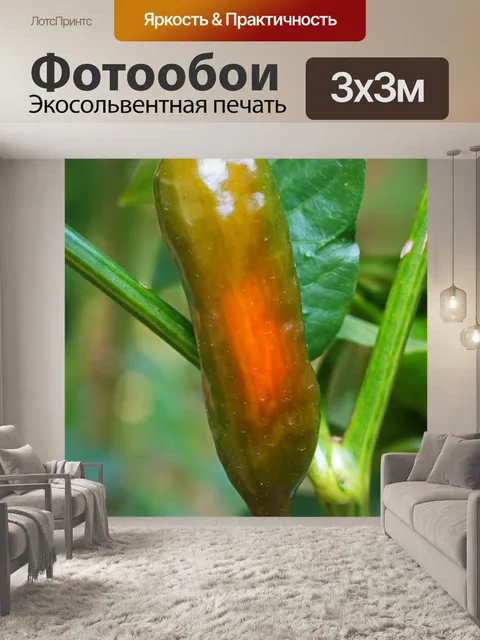 Фотообои длинный зеленый перец, меняющий цвет