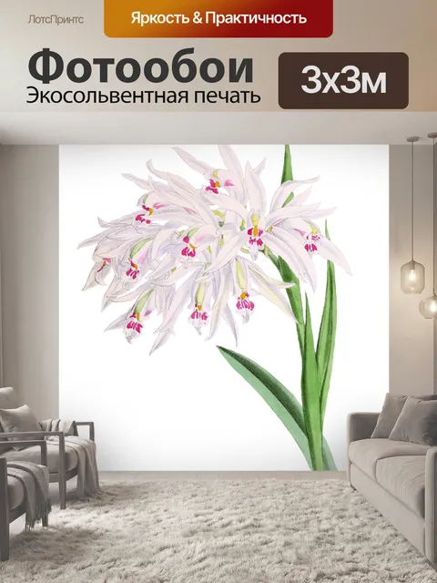 Фотообои Цветок орхидеи винтаж