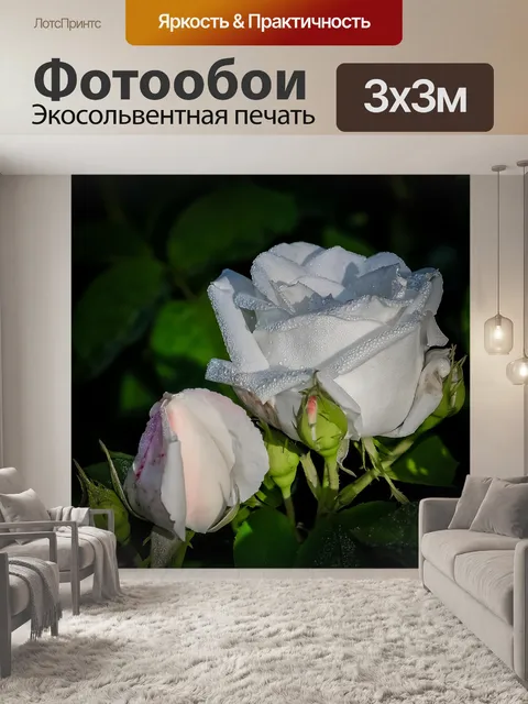 Фотообои Роза