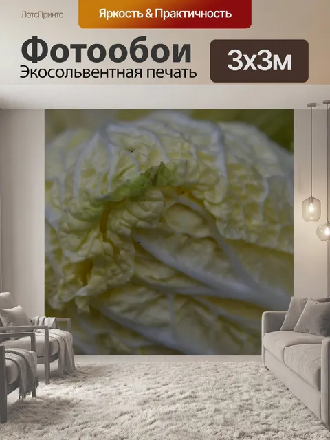 Фотообои Овощ