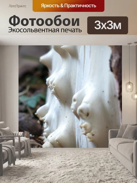 Фотообои Дерево