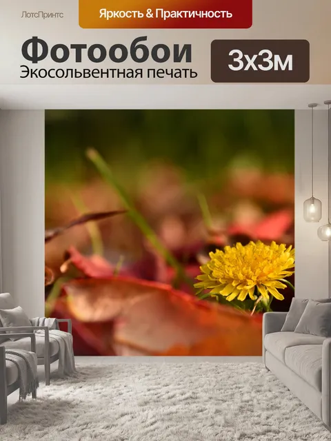 Фотообои Одуванчик