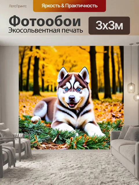 Фотообои Щенок хаски с голубыми глазами, лежит на лесной подстилке из сосновых иголок