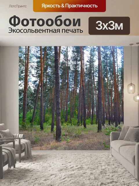 Фотообои Лес