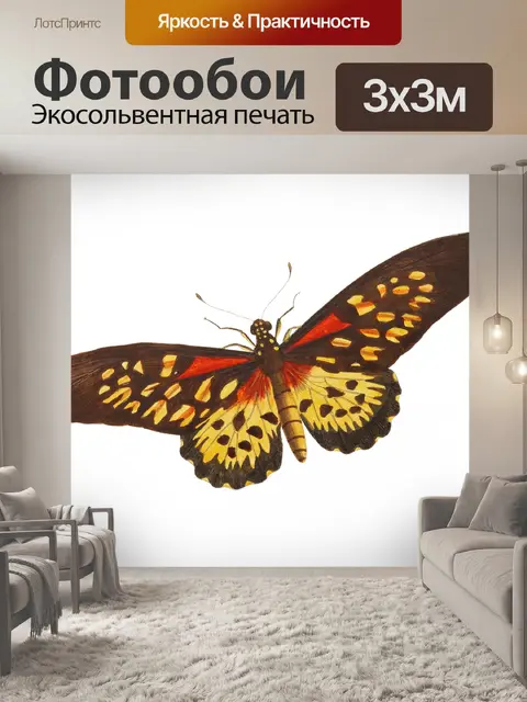 Фотообои Клипарт винтажная бабочка мотылек