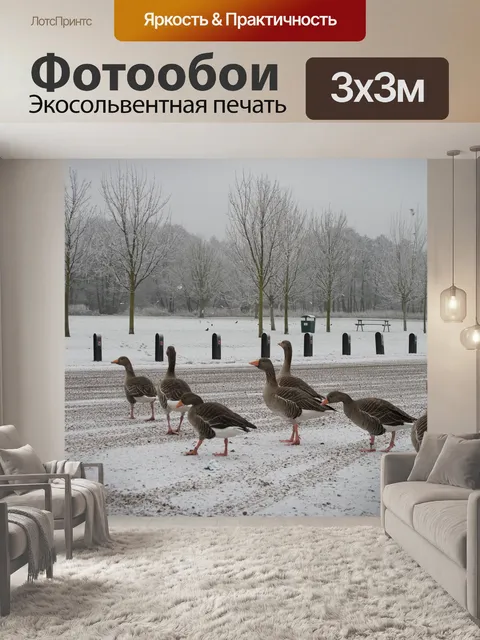 Фотообои Гуси