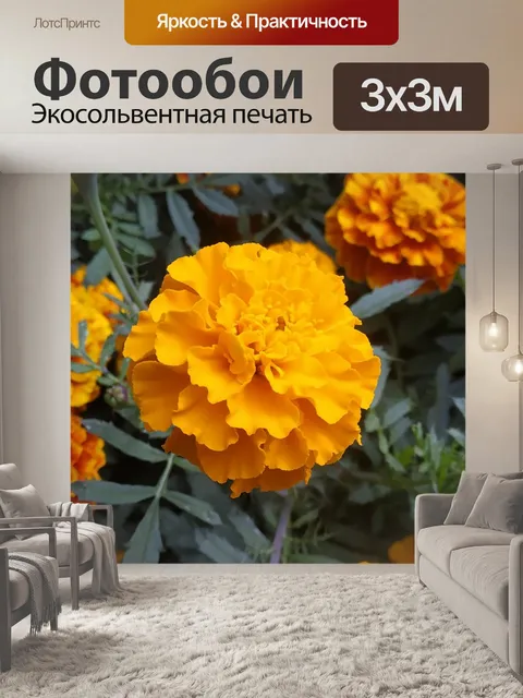 Фотообои Цветок