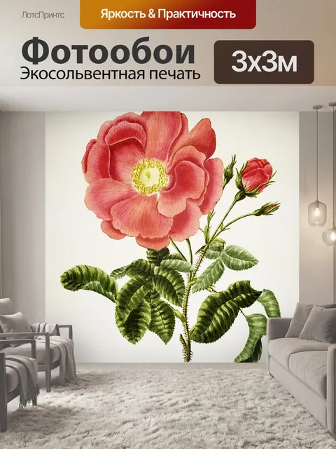 Фотообои Цветы