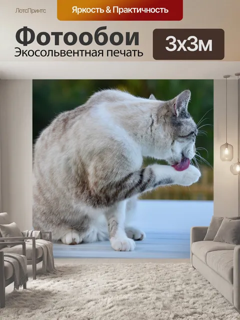 Фотообои Кошка