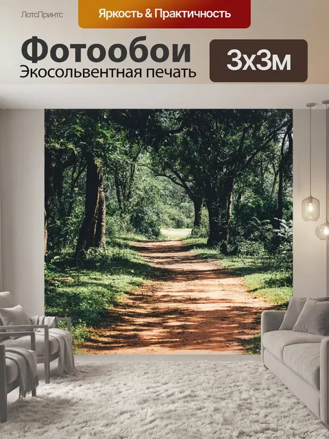 Фотообои Дороги