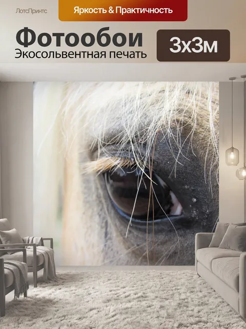 Фотообои Лошадь