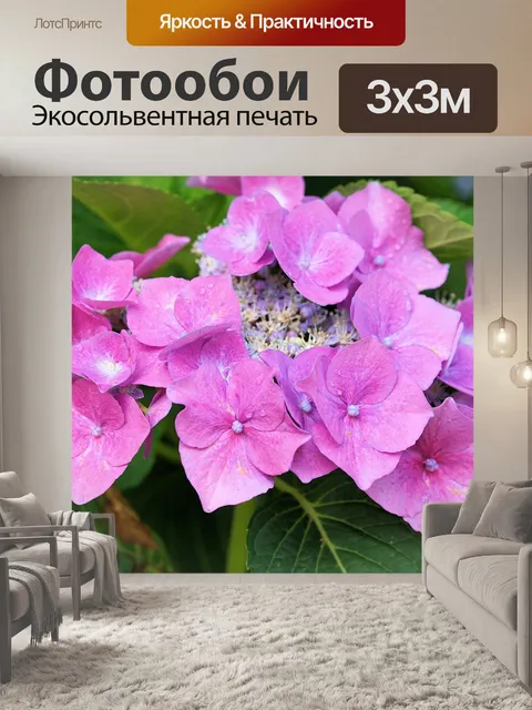 Фотообои Гортензии