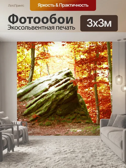 Фотообои Осенний лес рок