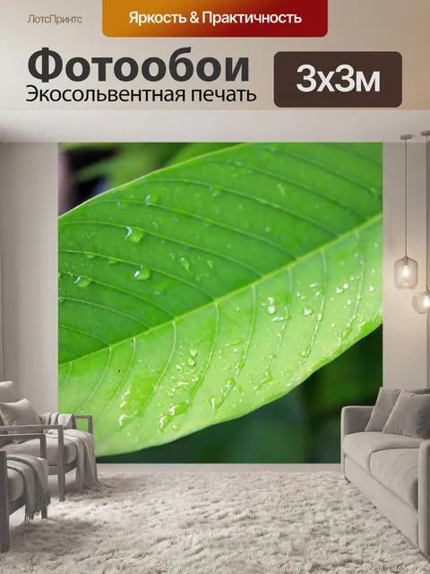 Фотообои Зеленые листья