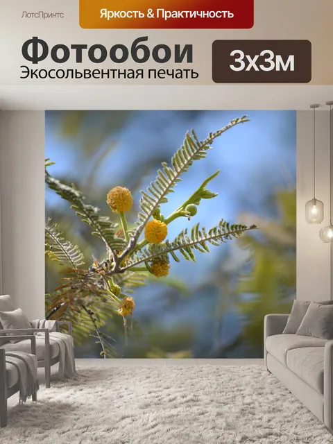 Фотообои Цветы