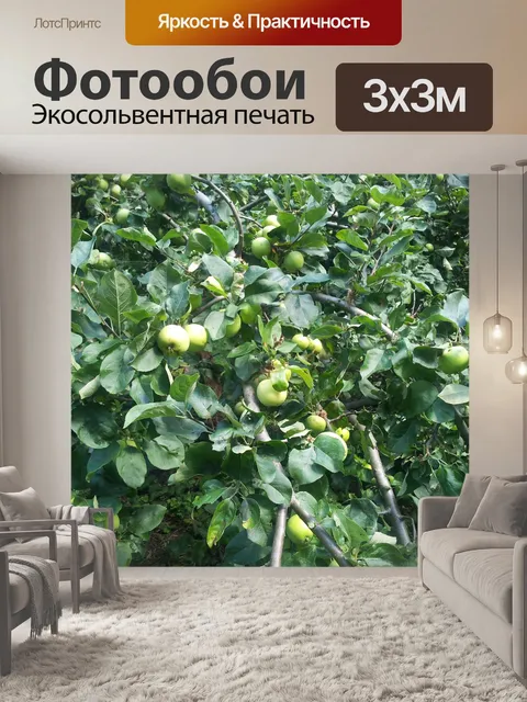 Фотообои Пейзаж