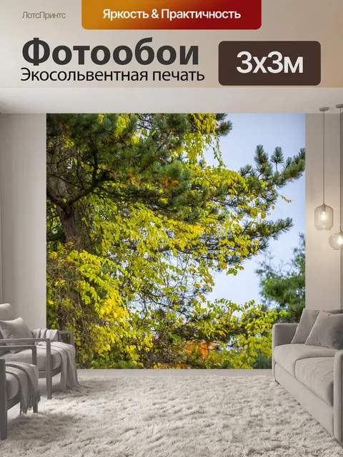 Фотообои Осенние листья