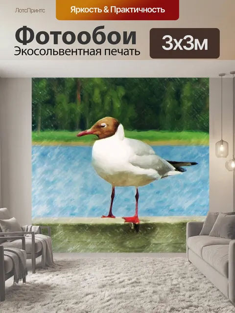 Фотообои Чайка