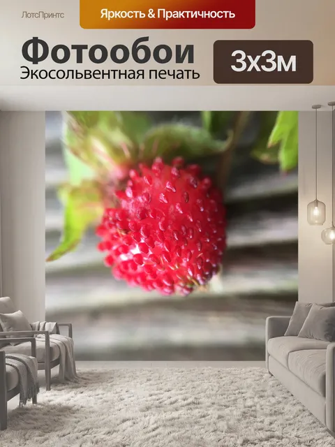 Фотообои Лесная ягода