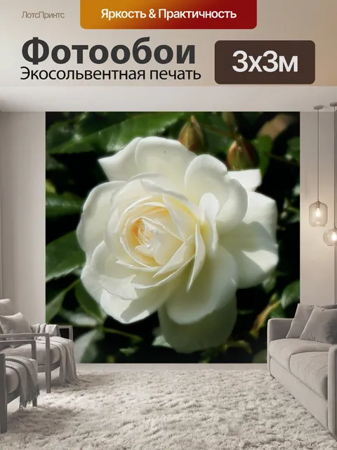 Фотообои Розовый