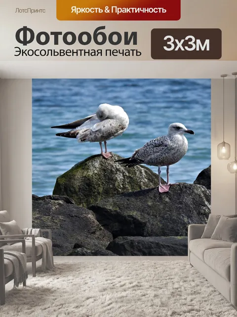 Фотообои Животные